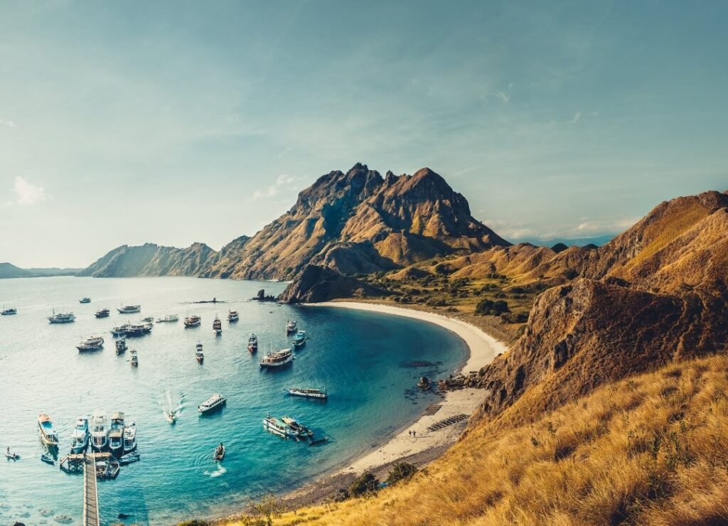 Komodo Island Day Tour